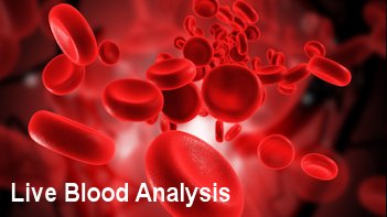 livebood