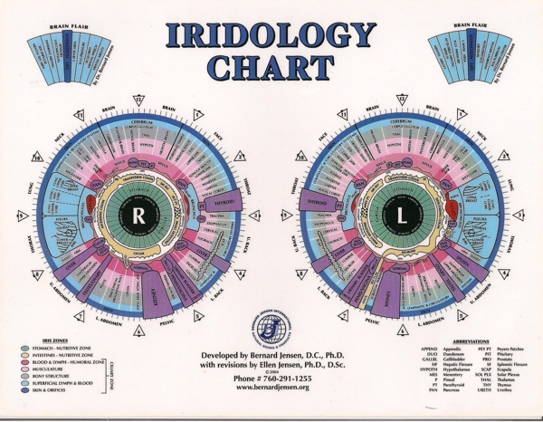 Rayid Iridology Chart